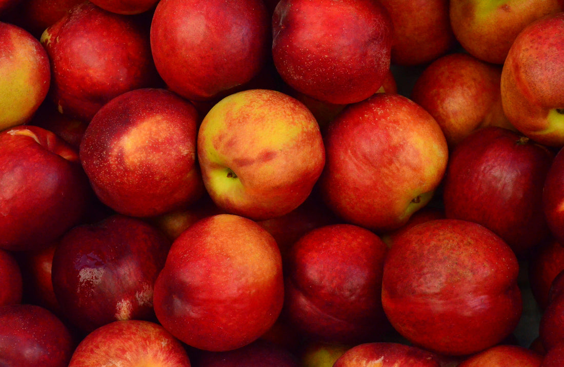 How Much Sugar is in Apple Juice? Sugar Conent in Apple Juice