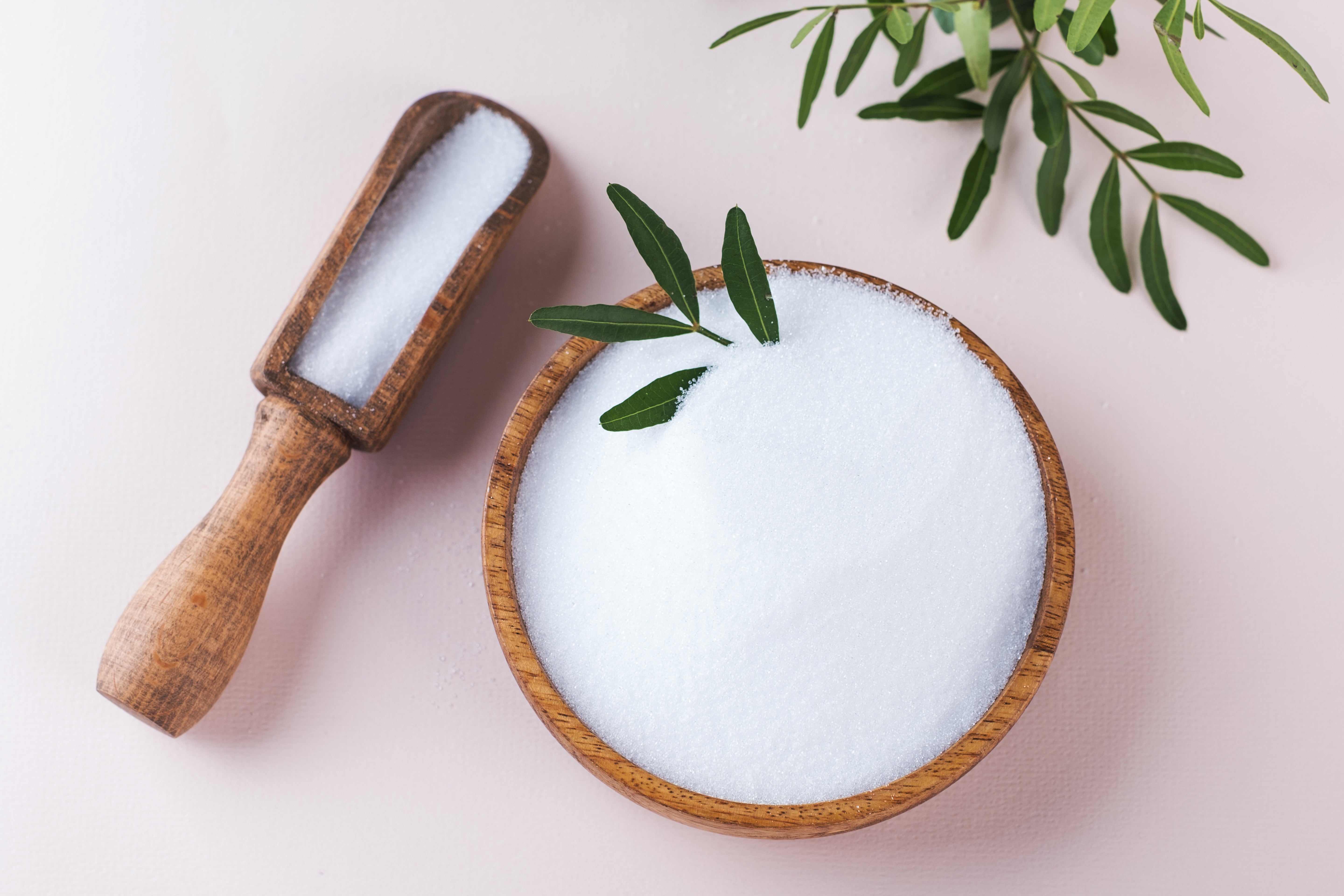 The Next Generation of Natural Sweeteners: Beyond Stevia and Monk Fruit