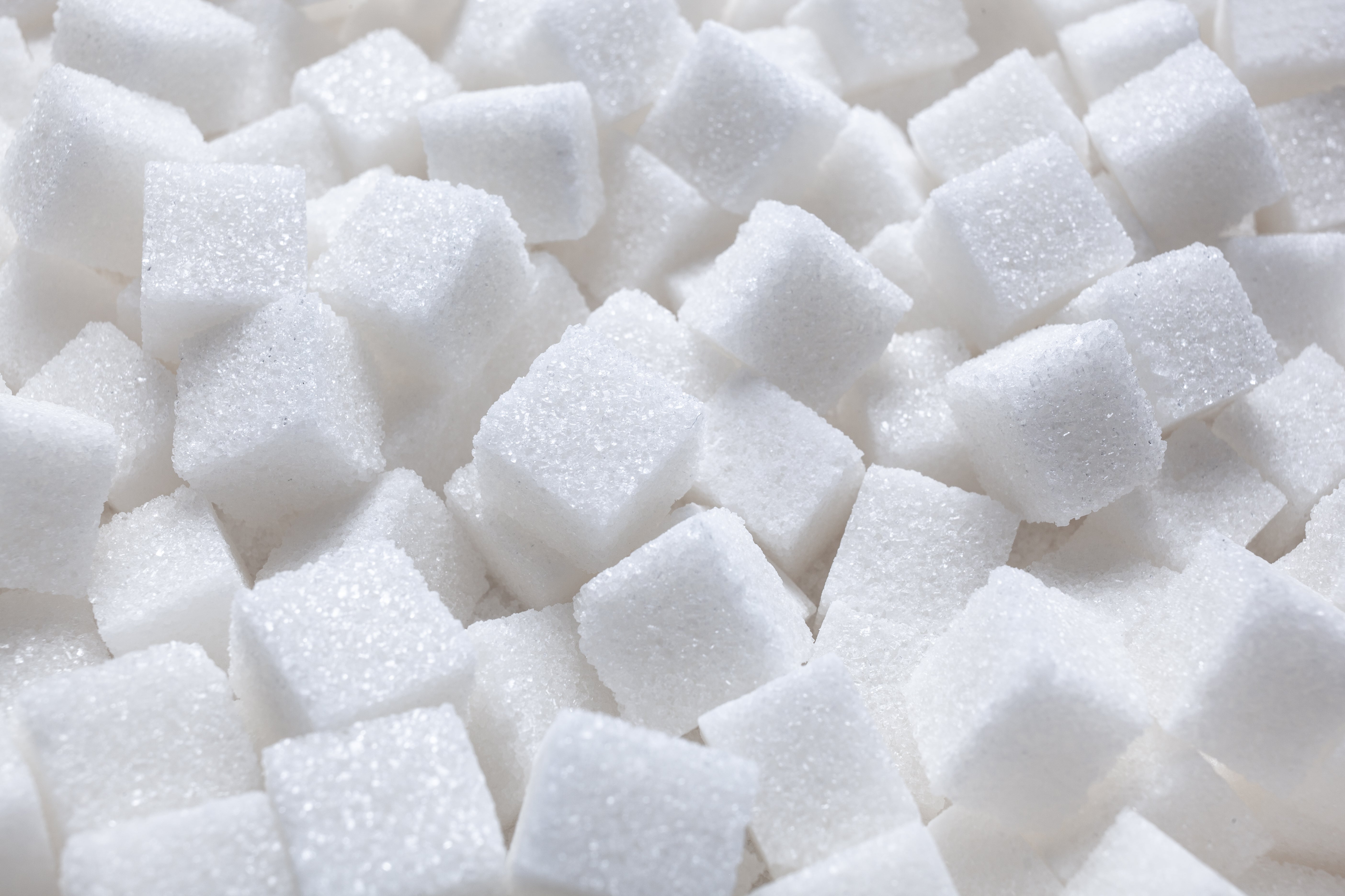 Sweet Proteins vs. Sugar: What Happens in Your Body?