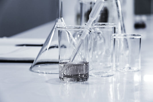 Precision Fermentation Protein