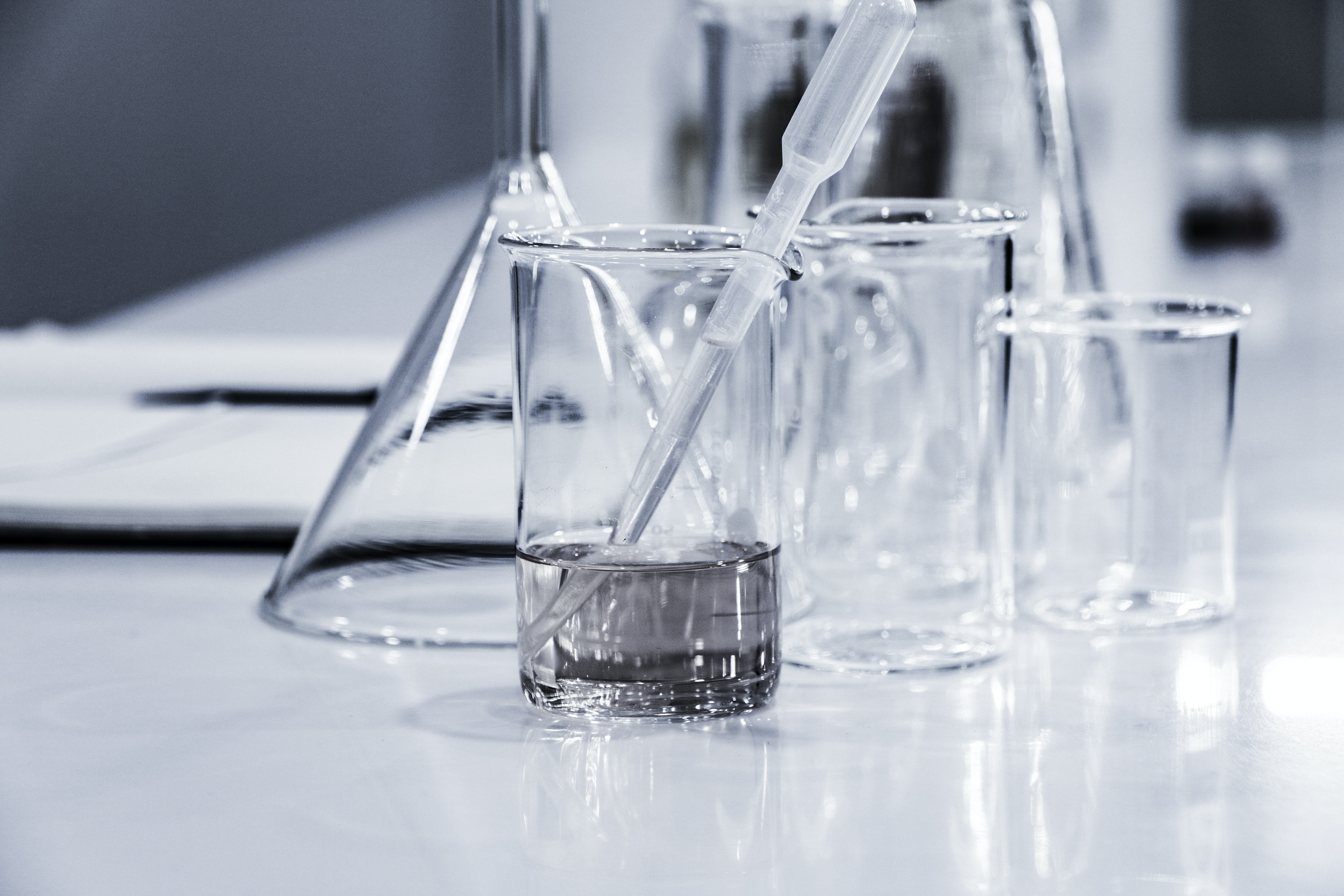 Precision Fermentation Protein